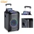 Import CQA factory 10inch trolley speakers audio system sound professional home theater for party/outdoor/stage from China