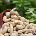 Cashew nuts in best price