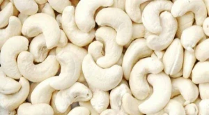 Various types of cashew nut for wholesale Whole White Cashew Kernel ww180