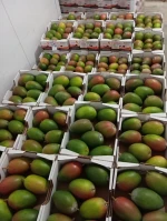 Mangoes