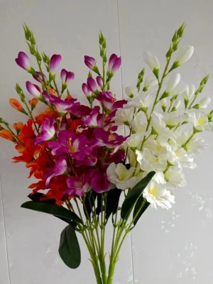 Gladiolus Flower