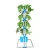Import Indoor Hydroponics from China