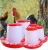 Import Factory Supply High Quality Poultry Manual Plastic Feeder and Drinker from China