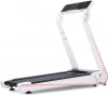 Werun Foldable Treadmill