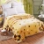 Import 2-6 Kilograms Thick Warm Fluffy Super Soft Raschel Blankets Double Layer Winter Mink Throw Single Double Size Blanket from China