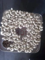 Premium Quality Cashew Nut Kernels