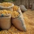 Import High Quality Dried GMO Yellow Corn with Moisture Level Below 14% Offered in Bulk Packaging for Direct Farm Supply from Germany