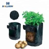 10 Gallon Fabric Potato Bags Grow Pots with Handle,2 Pack Per Set