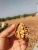 Import 100% Natural Healthy Food Thin Skin Rich Nutrition Walnut from China