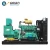 Import 120kw natural gas generator set from China