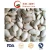 Import 13cm Snow White Pumpkin Seed Roasted Pumpkin Seeds (15% Salt) from China