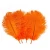Import 20-25cm New Orange Ostrich Feathers for Halloween Decorations from China