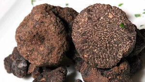 2017 New food grade wholesale price black truffle China Factory