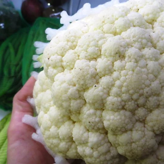 2020  Fresh Cauliflower from South Africa  , Fresh white cauliflower