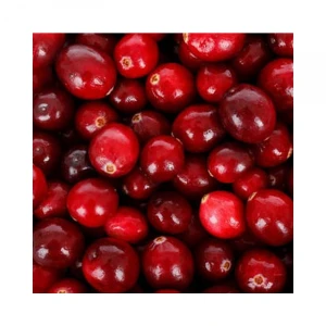 2020 Hot Selling IQF Frozen Fresh Fruit bulk organic frozen Cranberry fruits