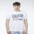 Import 2021new summer t-shirt for men cotton t-shirt for wholesale price from Italy