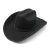 Import 2024 Customized western plain felt cowboy hats wholesale Trendy Belt western wide brim felt Fedora cow boy west Shape Cap from China