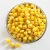 Import Best Quality Canned Yellow Sweet Corn 340g Canned Pack from China