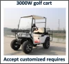 4 seater electric golf cart,hunting golf cart with rear flip seater,utility golf cart for sale