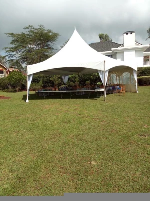 40x20 High Quality Long Duration Time  Outdoor Gazebo Marquee Tent