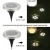 Import 4Pcs LED Outdoor Solar Lamps LED Garden Lawn Light Solar Powered Underground Light from China