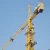 5ton load self installed topkit tower crane for house building