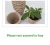 Import 6cm EcoFriendly organic germination seedling pots trays biodegradable seed tray kit pots vegetable fruit flower round stater cup from China