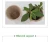 6cm EcoFriendly organic germination seedling pots trays biodegradable seed tray kit pots vegetable fruit flower round stater cup