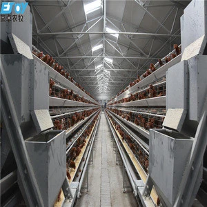 A Frame Battery Layer Chicken Cage Breeding System