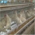 Import A Frame Battery Layer Chicken Cage Breeding System from China