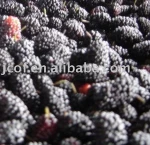 AD vegetable&fruit and FROZEN vegetable&fruit