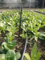 agriculture LDPE irrigation PE pipes for farm irrigation system