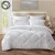 Import All Season Goose Down Alternative Quilted Comforter Set Queen Size from China