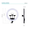 Amazon hot sale 19 inch Ring Light 60W Photo Studio Portable Photography Ring Light LED Video Light with tripod stand