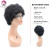 Import Angelbella Cheap Wholesale 100 Human Hair Wigs Short Curly Human Hair Wig for Black Women from China