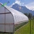 Import Anti-uv 200 micron green house pe film/Professional factory supply hdpe greenhouse film roll from China
