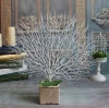 Artificial Dry Tree Branch In Fashion Style Factory Price &amp; For Wedding And Home,Hotel,Park Decoration