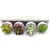 Import Artificial Succulent Plants Set With Paper Pots In Wooden Tray Succulents For Home Decor from China