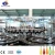 Import Automatic Glass Bottle fruit juice small complete production lines/liquid filing machine from China