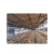 Import Automatic Poultry Animal Husbandry Equipment For Farming Chicken from China
