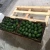 Import Avocado from Morocco