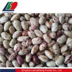 Baby Lima Beans, White Beans, Legumes Beans