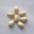 Import Bai Guo Popular Good Quality Fresh Raw Ginkgo Nuts In Shell from China