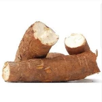 Best Quality Fresh Cassava and Fresh Yams for Sale