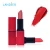 Best Skin Care Organic Natural Ingresients OEM Matte Makeup Lipstick for Women