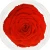 Big Size Preserved Rose Flower Real Touch Giant Preserved Fresh Roses