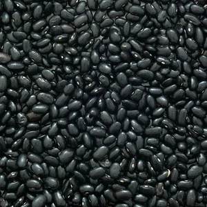 Black kidney beans Spain product.