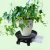 Import Black Plant Caddy Plant Stand Round Planter Trolly Tray Outdoor Indoor Flower Pot Mover with Caster Wheels and a Water Container from China