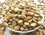 Broad Beans / Fava Beans (Best Quality and Price)
