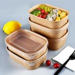 Brown Rectangular Food Plastic Trays, Rice Bento Takeaway Plastic Box, Fast Food Plastic Containers, Lunch Plastic Boxes